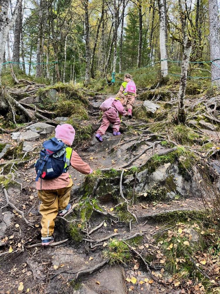 born som går på den bratte stien - Klikk for stort bilete